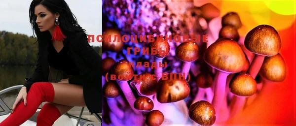 твердый Карталы