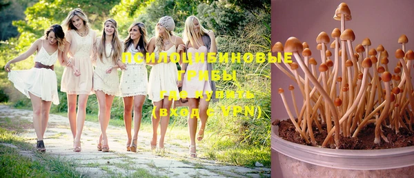 прущие крисы Карпинск