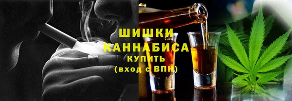 стаф Касимов