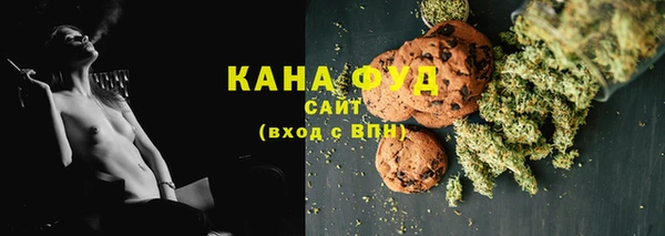стаф Касимов
