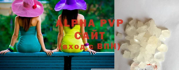 стаф Касимов