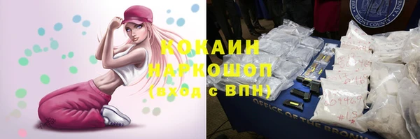 стаф Касимов