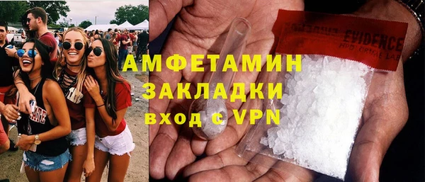 стаф Касимов