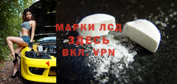 стаф Касимов