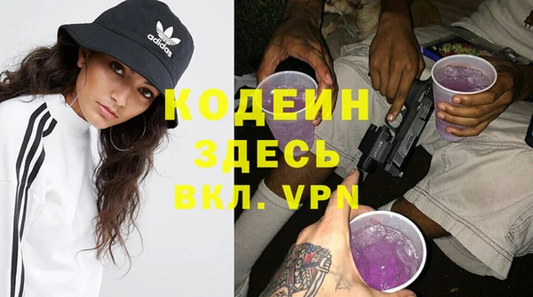 стаф Касимов