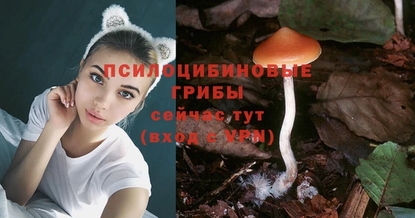 прущие крисы Карпинск