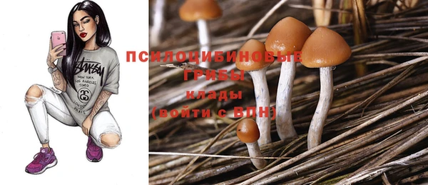 стаф Касимов