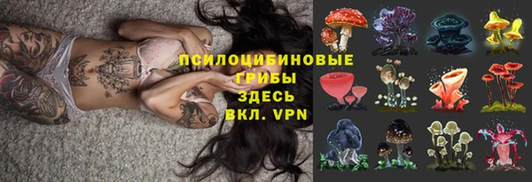 стаф Касимов