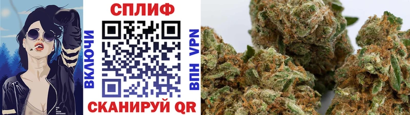 где можно купить   Пугачёв  МАРИХУАНА планчик 